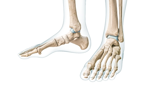 Ayak ve Ayak Bileği Cerrahisi Nedir? İlgi Alanları Nelerdir?