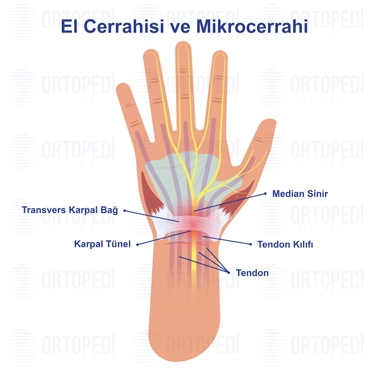 El Cerrahisi ve Mikrocerrahi